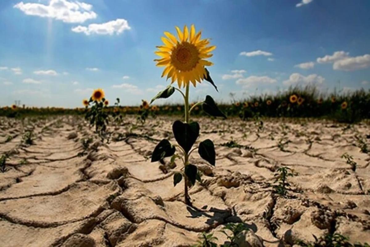 На тлі зростання дефіциту води у світі високотехнологічні багатоярусні комплекси