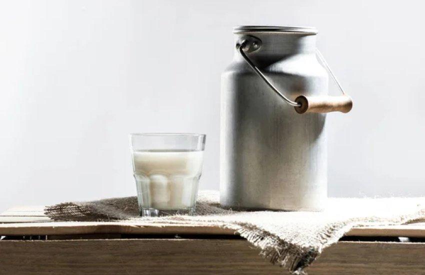 Обсяги надою в промисловому секторі були вищими ніж торік