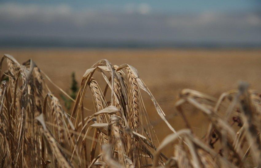 Наприкінці минулого року Мінекономіки оновило критерії визначення критично важливих підприємств