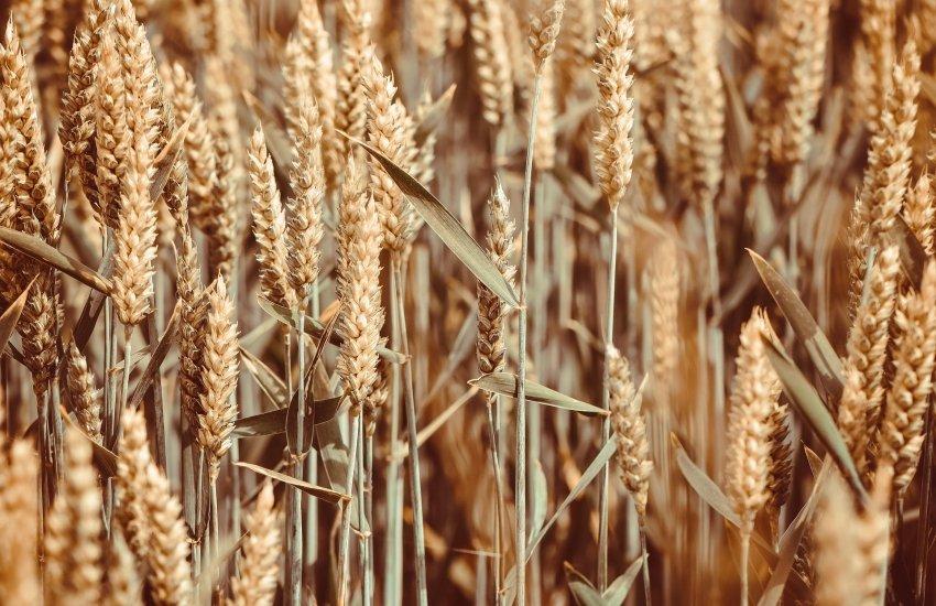 Є 8-10 дослідних зразків, перші три вже пройшли сертифікацію