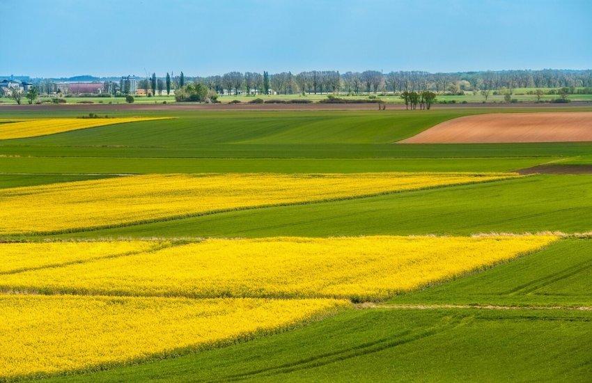 Середня ціна одного гектара за цей період зросла на 96% у гривневому еквіваленті