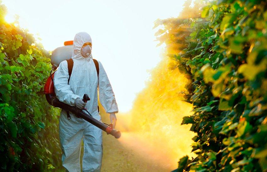 Щодо стандартів благополуччя тварин, закон у галузі тваринництва запрацює з 2 березня