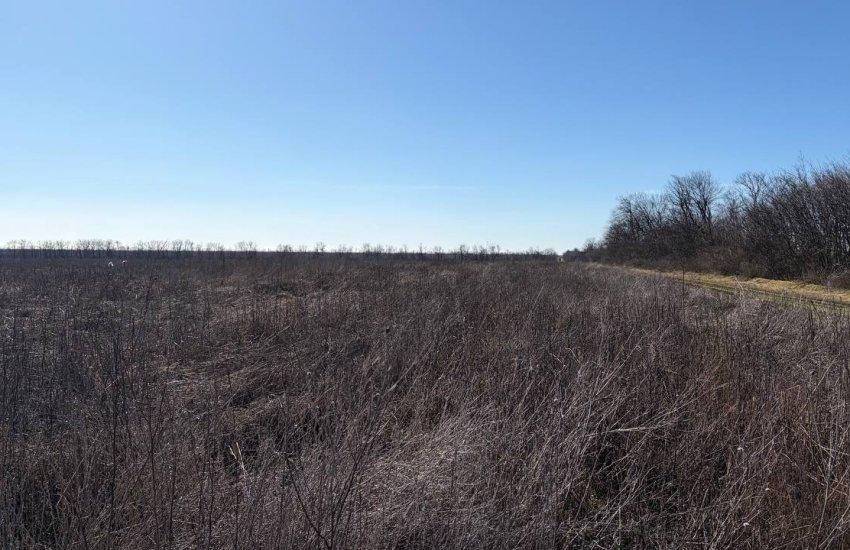 Йдеться про землі у Березівському районі Одеської області