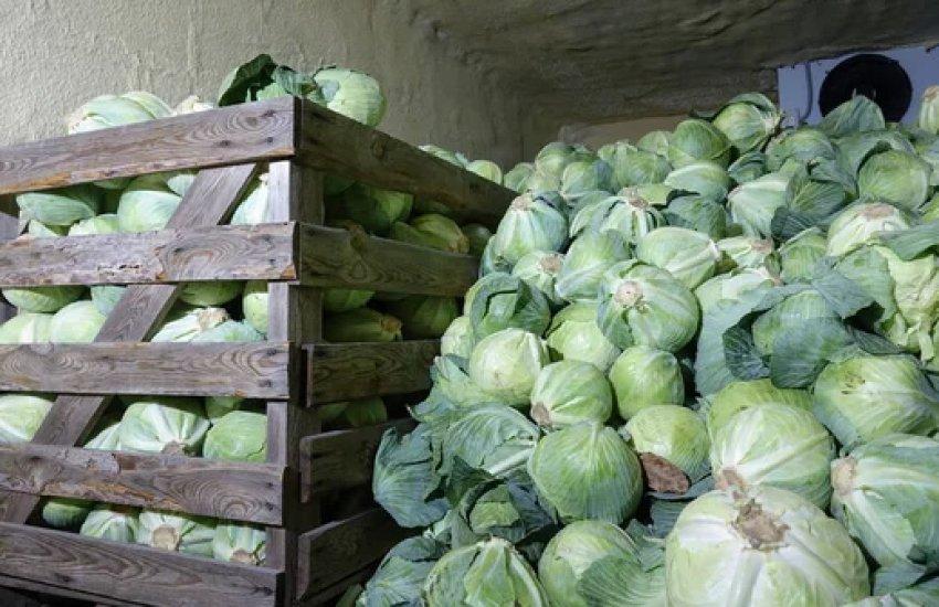 Підприємства можуть отримати до $150 тис. на розвиток інфраструктури, переробки продукції 