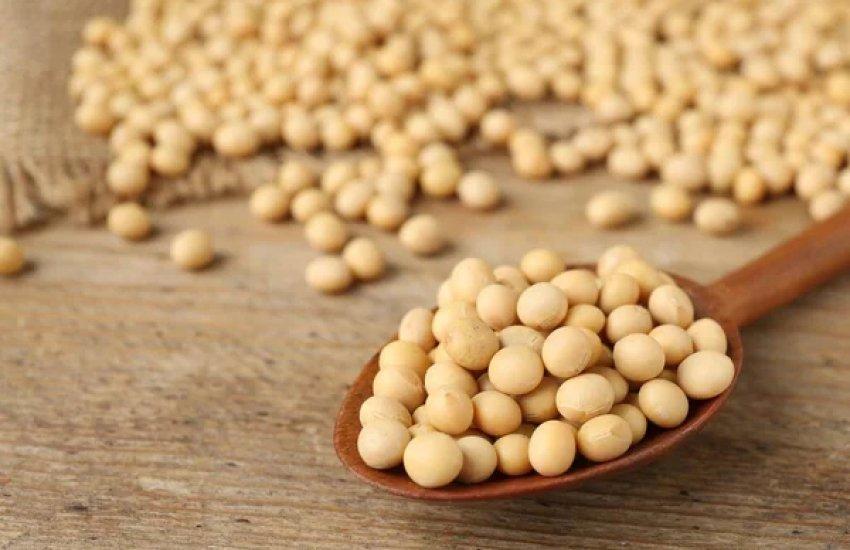 Обсяг використання сировини всередині країни сягне 2,9 млн тонн