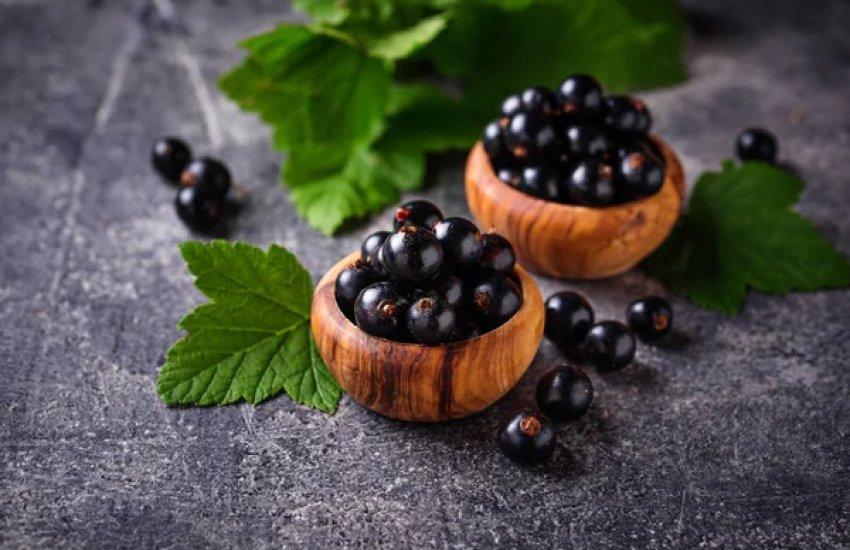 Чорна смородина має експортний потенціал