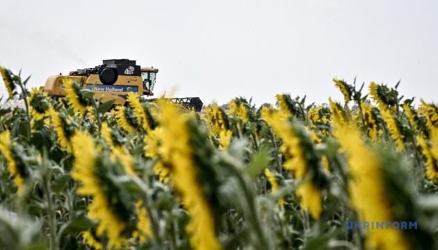Очікується, що ЄС збільшить посівні площі соняшнику на 0,2 млн га до 4,9 млн га цієї весни