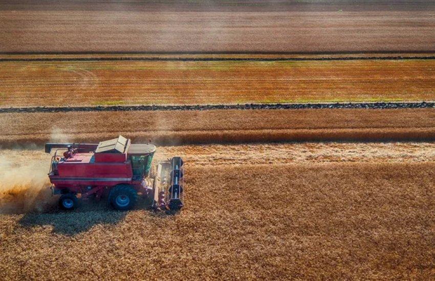 Сівба соняшнику вже розпочалася у Волинській, Дніпропетровській, Львівській та Тернопільській областях