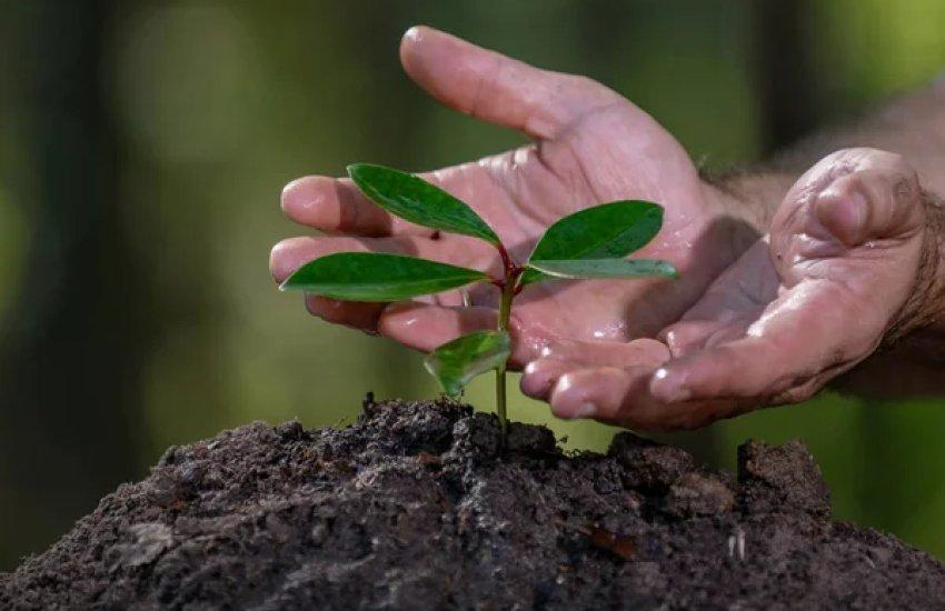 Кабмін розширив програму підтримки для господарств, що працюють у зонах підвищеного ризику