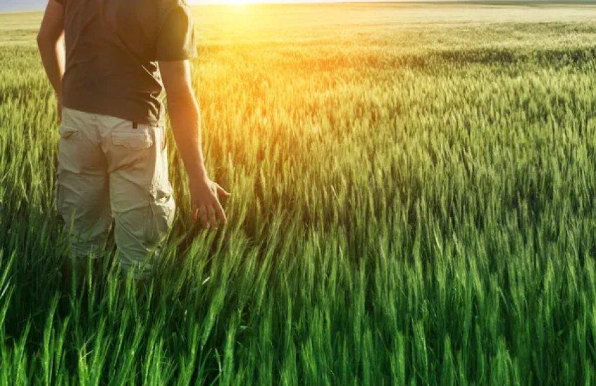 Одним із головних нововведень стане статус зон ризикованого землеробства.
