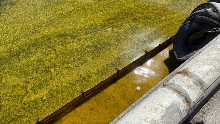 Забруднення міняє фізико-хімічні властивості морської води та негативно впливає на морські організми