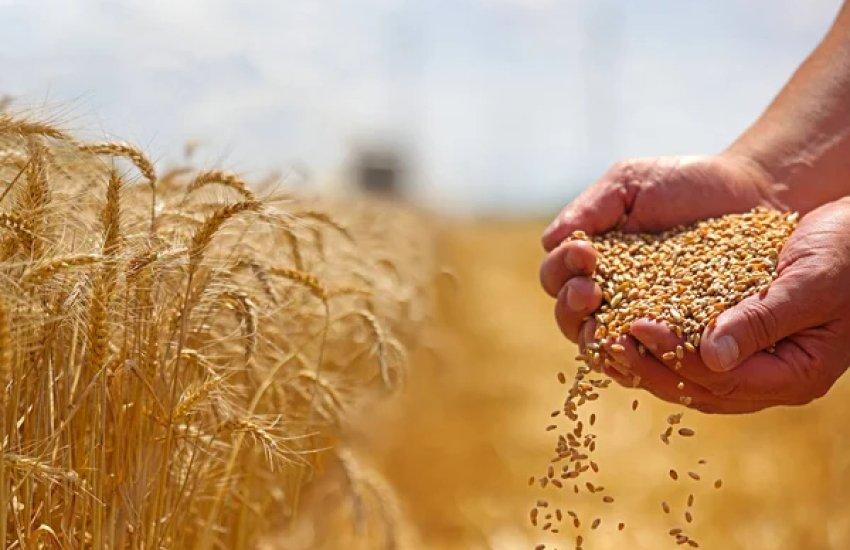 Головна тенденція кварталу – зростання вартості експорту 