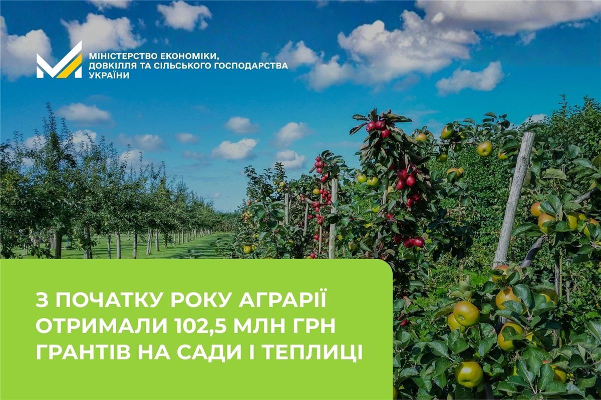 12 суб’єктів господарювання залучили 56,5 млн грн на сади та виноградники