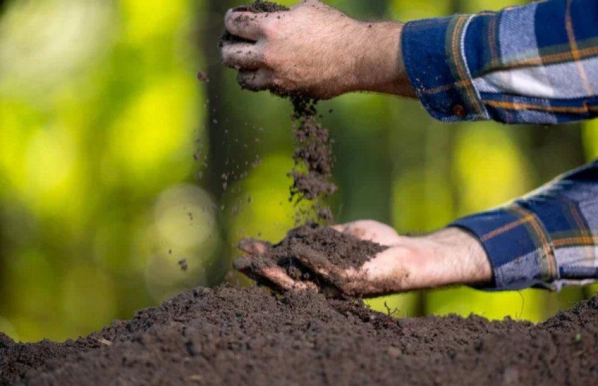 Аграрії зможуть отримати до 1 тис. грн на гектар