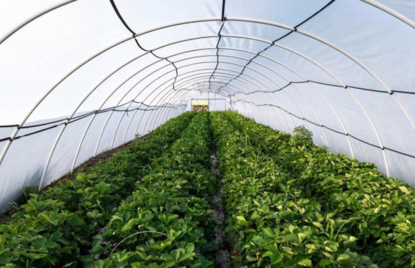 Предметом продажу є 100% корпоративних прав компанії