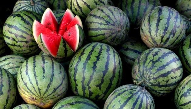 Нічні морози до -6 градусів, які припали на період висадки розсади, стали критичними для багатьох господарств
