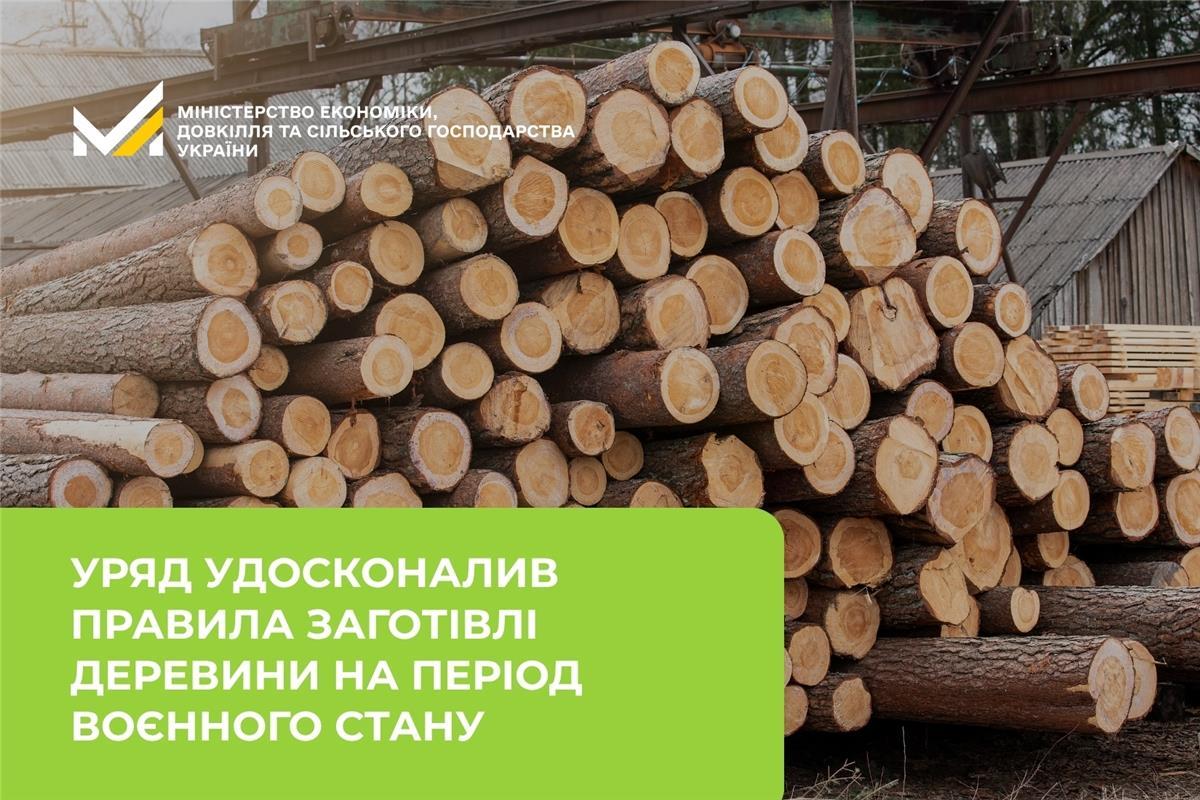 Нові правила дозволять ефективніше використовувати лісові ресурси в умовах війни