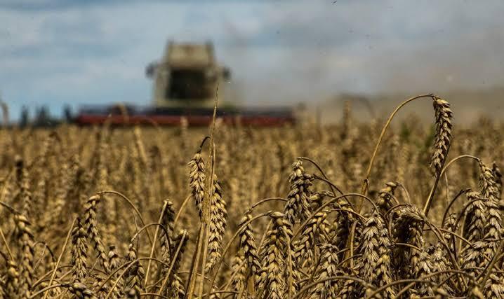 Найбільшу частку в структурі експорту традиційно займає кукурудза