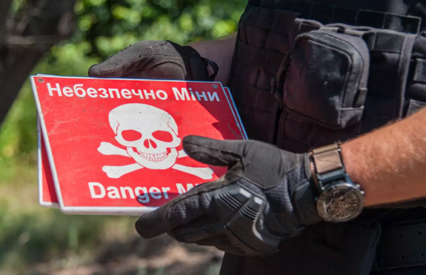 Договори стали результатом тендерів, проведених через систему Prozorro