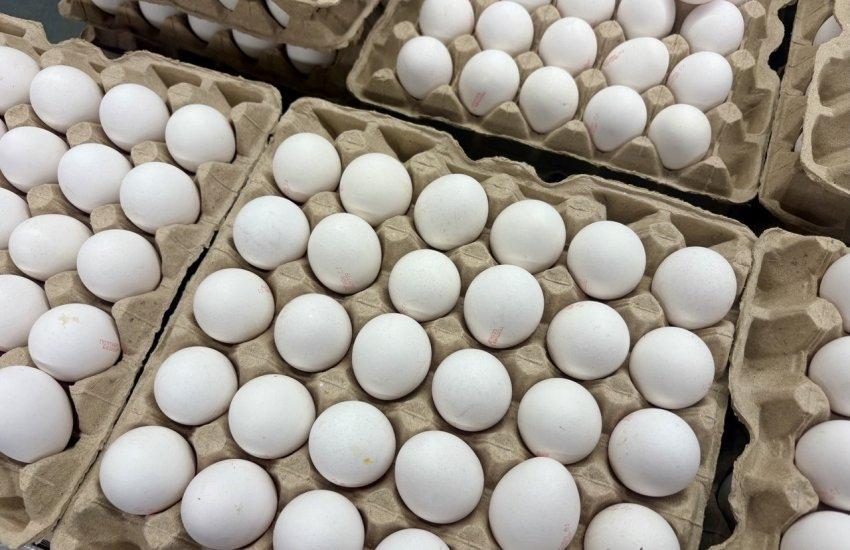 Виробники м’яса птиці та яєць прогнозують зростання собівартості продукції на 10–15% 