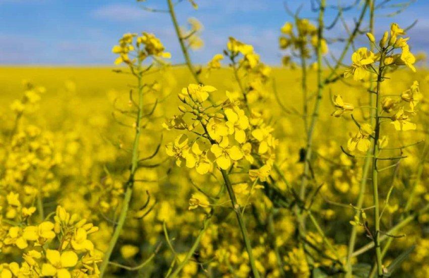 Поставки з України впали на 42% — зі 193,6 тис. до 112,2 тис. тонн