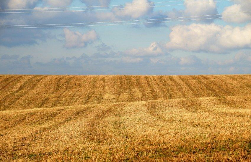 На початку вересня в рф озимими культурами засіяли 2,6 млн га