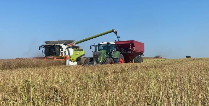 У червні 2026 року було створено сільськогосподарський кооператив Агроєдність Україна