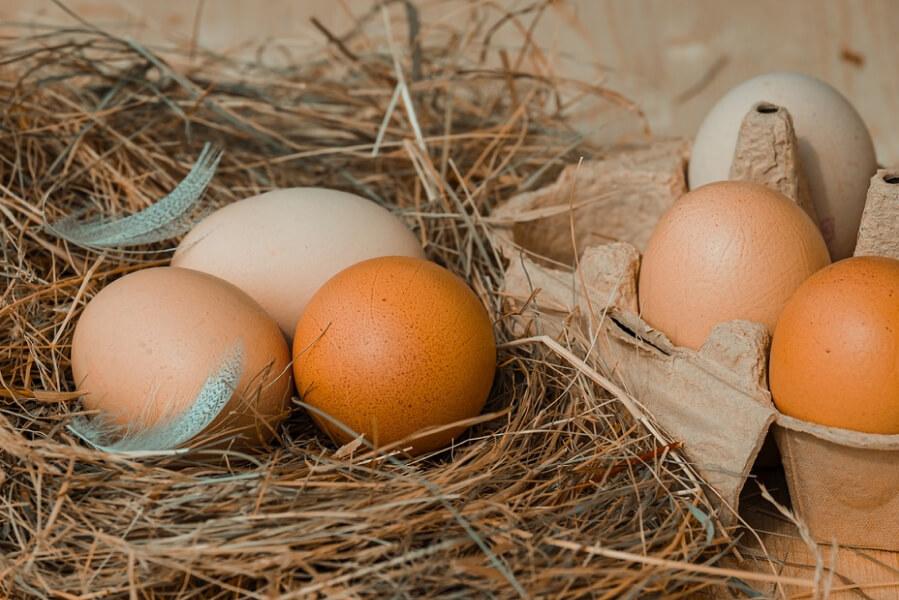 За сім місяців 2026 року Україна експортувала 1,4 млрд яєць