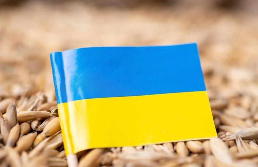 Попередні розширення Євросоюзу демонструють, що об’єднання має достатньо інструментів для поступового приєднання нових аграрних секторів