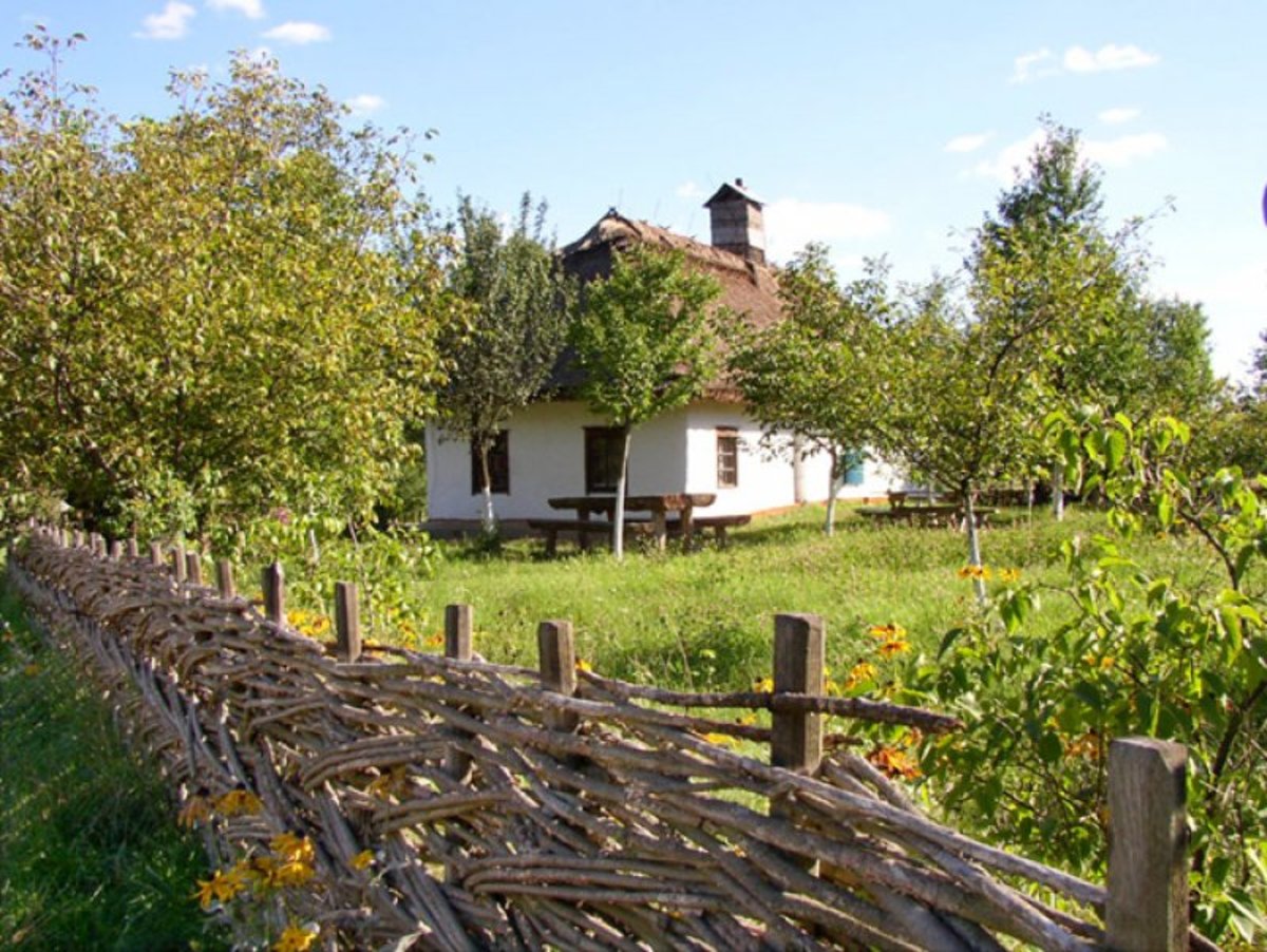 Деревня в Украине