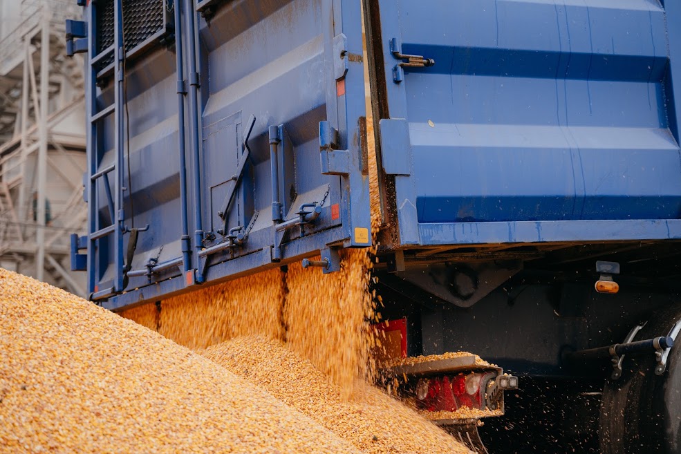 кукуруза в контейнерах. перевозки кукурузы. экспорт зерна. погрузка кукурузы. Kws hybrid кукуруза.