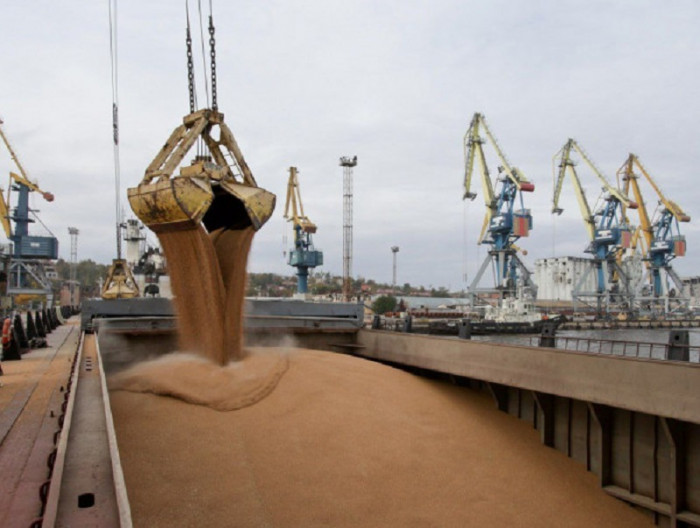 Росіяни зазначили, що за 2024 рік встигли вивезти з Маріуполя більше 30 тис. т вантажів з аграрною продукцією