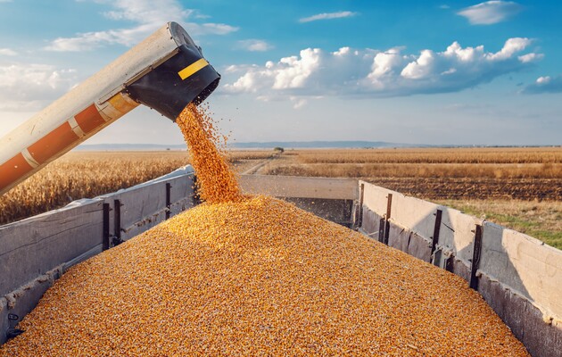 Експорт пшеничного борошна зменшився на 39,4 тис. т
