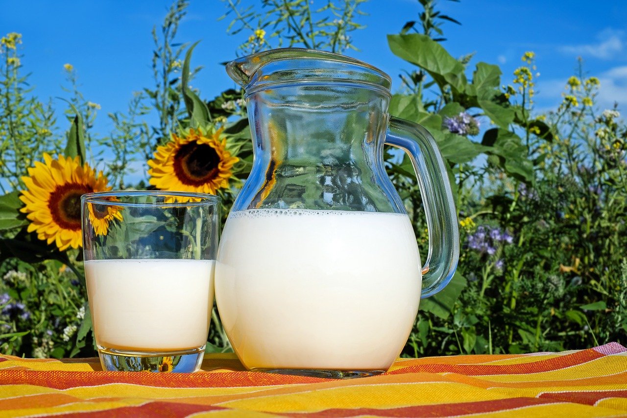 Десятки українських підприємств експортують свою молочну продукцію в ЄС