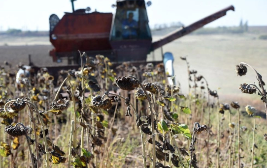 Україна зможе продовжити експортувати аграрну продукцію до країн Євросоюзу без квот і мит