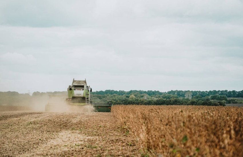 Учасники ринку прогнозують, що у 2024 році урожай зернових та олійних культур в Україні зменшиться до 76,1 млн т