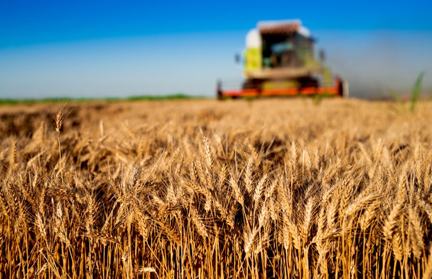 У першій половині 2024 року Україна вже доставила партії пшеничного борошна до Судану