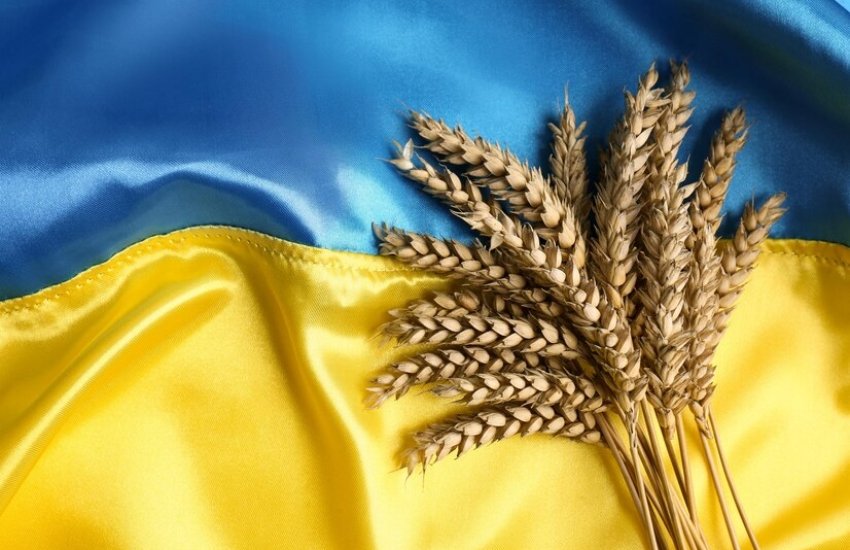 Потрібно брати до уваги не тільки обсяг усього врожаю, а й також мікс культур у ньому