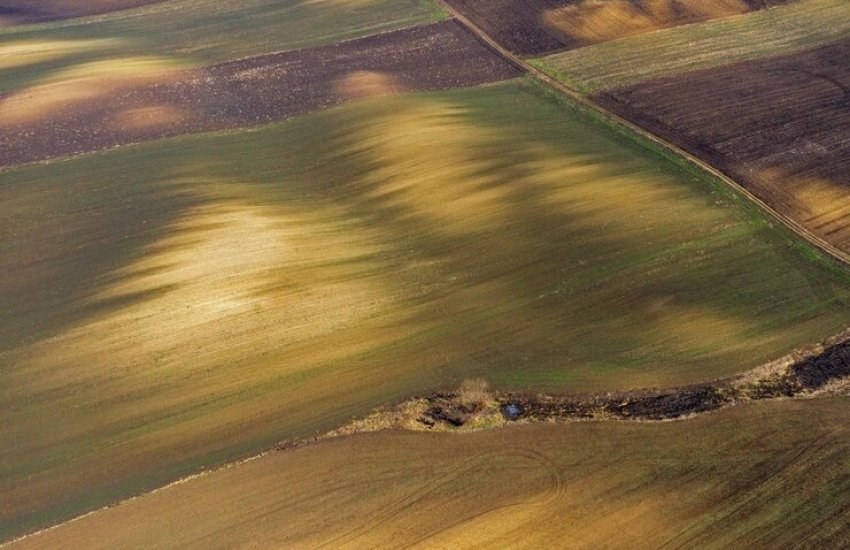 Загальна площа ділянок, що були виставлені на торги, становить 643,8 га