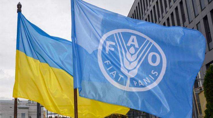 На реалізацію зазначеної програми міжнародна організація виділить 150 мільйонів доларів