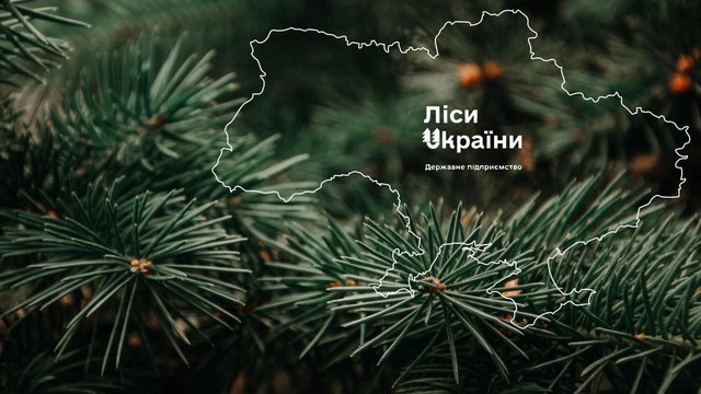 У «Лісах України» уточнили, що 2025 року на закупівлю спеціального автотранспорту