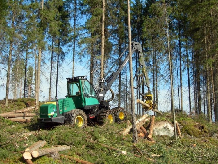 Харвестер — самохідна, багатоопераційна лісозаготівельна машина, на колісній або гусеничній базі