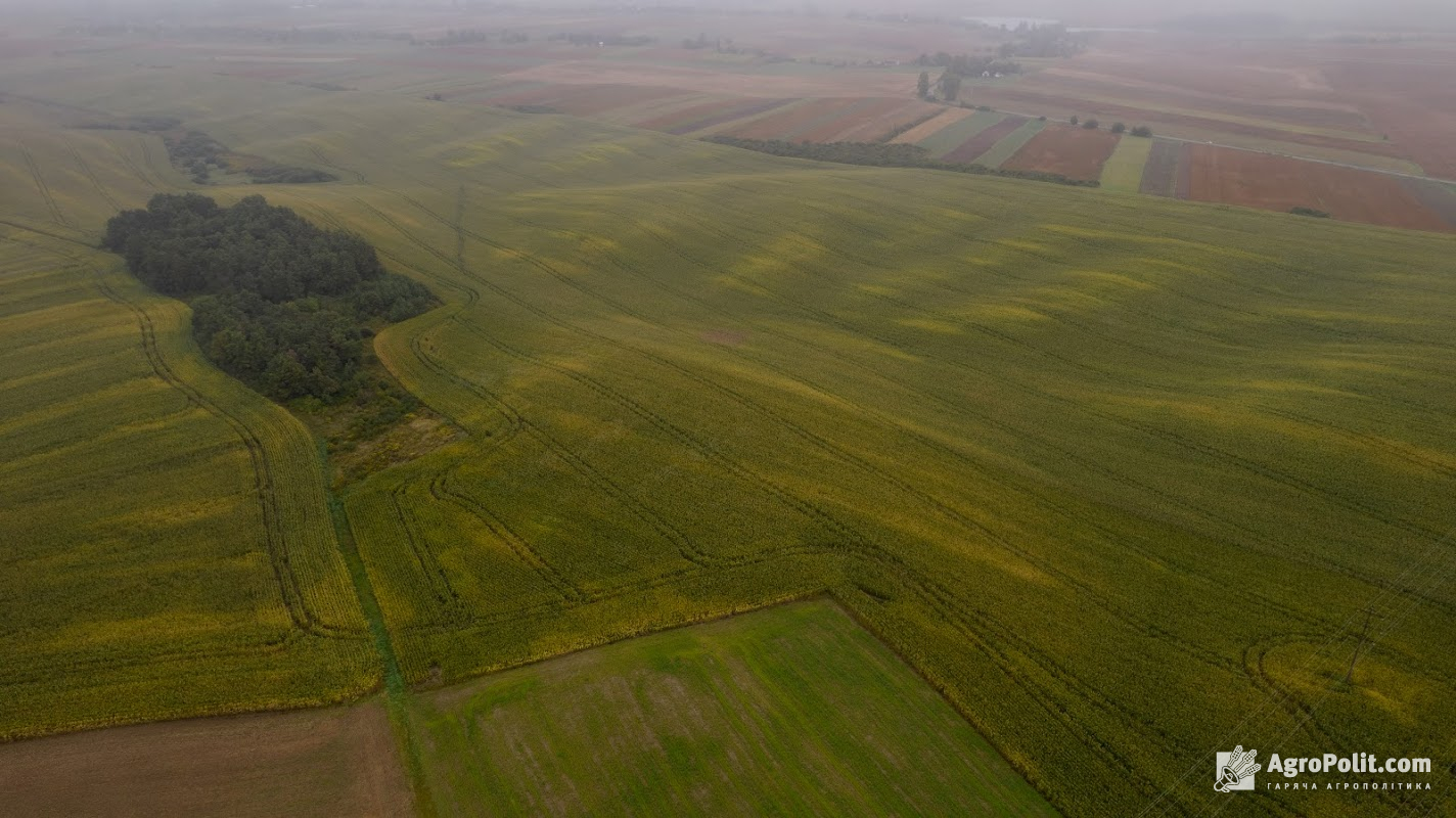 Орендна плата на землю в Україні зростатиме щороку в доларовому еквіваленті на 5%