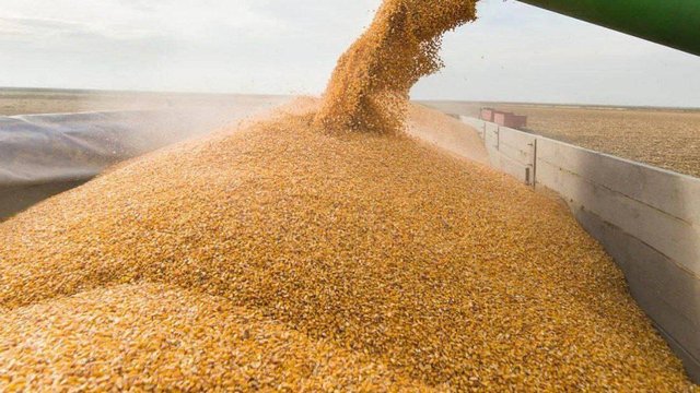 Торік на аналогічну дату було намолочено 45,1 млн тонн зернових з 9,7 млн га
