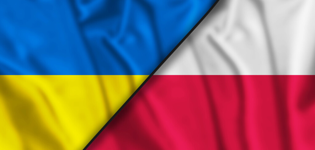 Перевірили 52 магазини, включаючи 42 стаціонарні магазини та 10 онлайн-магазинів