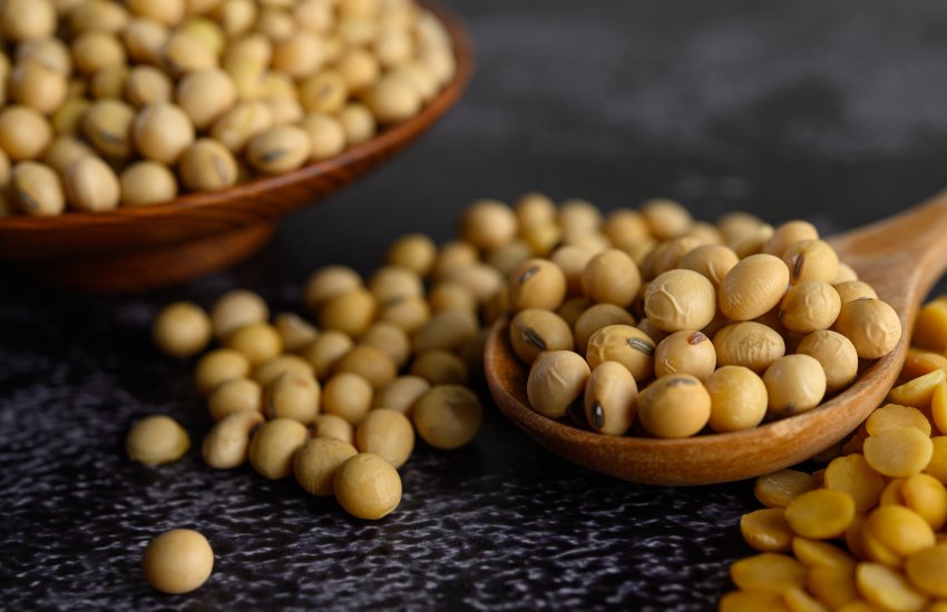 Ціни попиту на українську сою на умовах СРТ-порт зросли до 392 – 405 USD/т