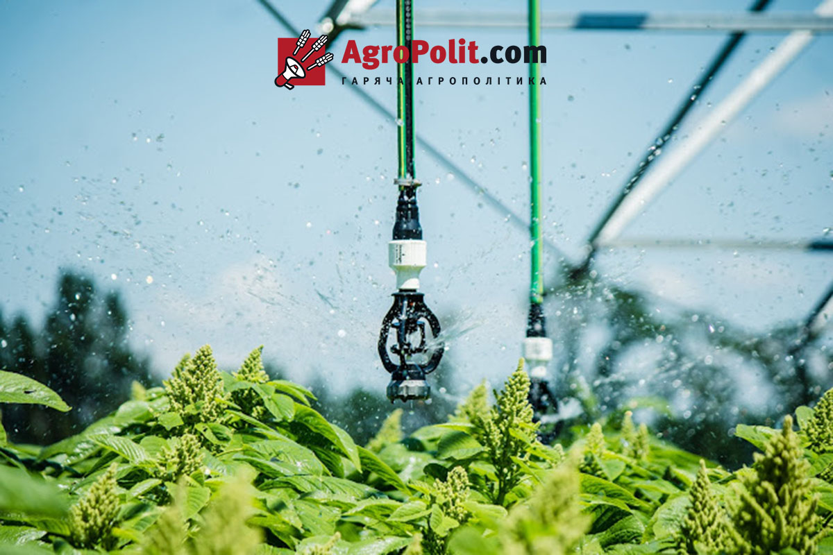 Рослинництво