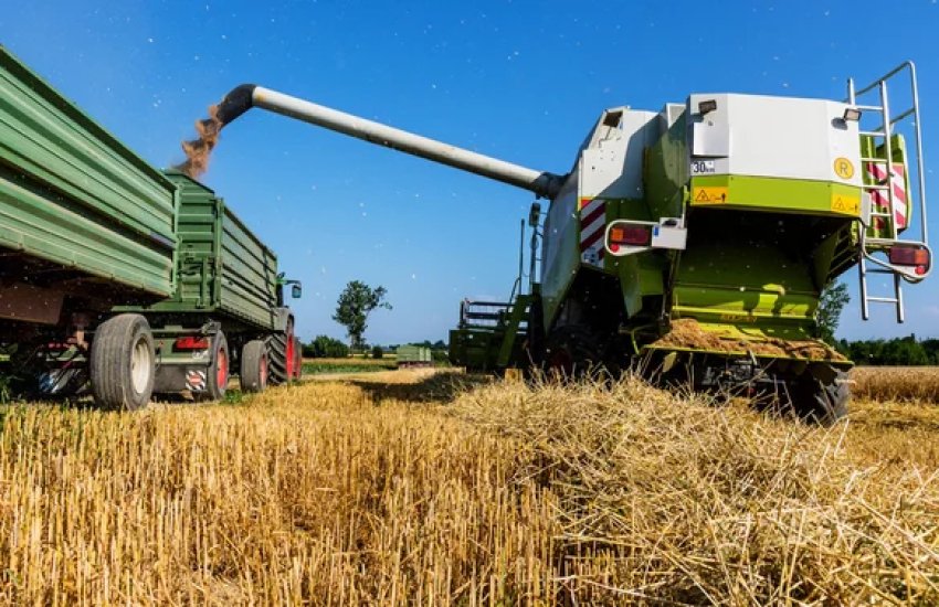 АПК продовжує утримувати понад половину всього українського експорту