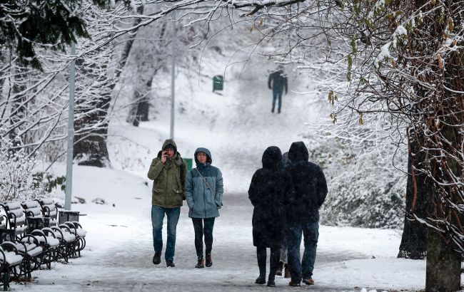 Грудень був аномально теплим та посушливим для рослин