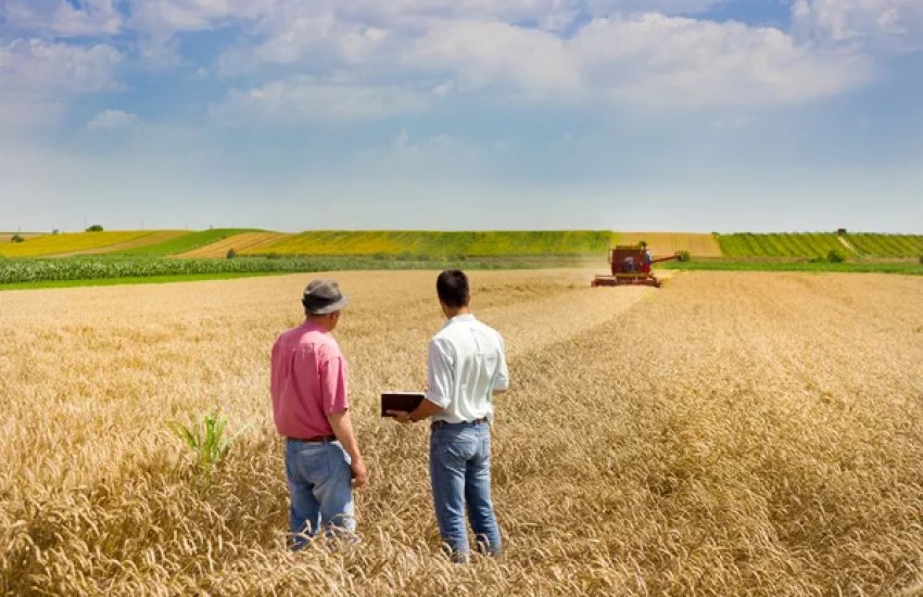 Користувачі можуть зберігати заявку у статусі «Чернетка» 